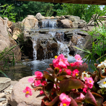 Bringing an 18yr Old Pond Back to LIFE