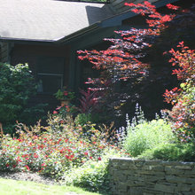 front garden