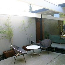 bamboo