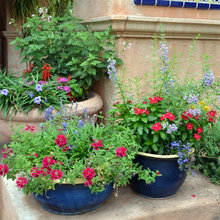 Flower pots