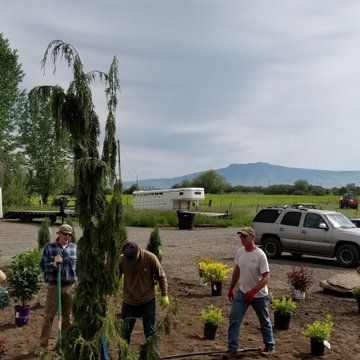 Landscaping
