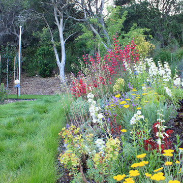 Mill Valley Hillside Garden