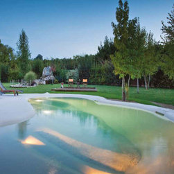 Biodesign Beach Sculpted Swimming Pools Nassau Long Island - Aboveground Swimming Pools