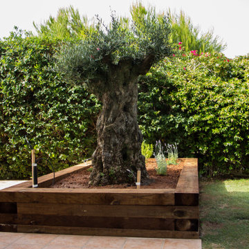 JARDINERA CON OLIVO (Castellón)