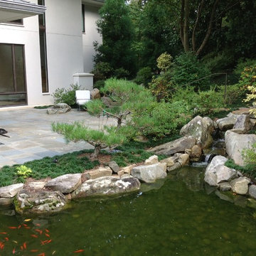 Doren's Zen Garden
