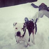 Rebecca Guptill's photo