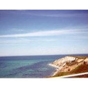 M M's photo