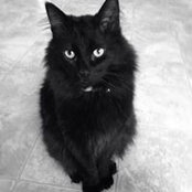 Blair Becker's photo