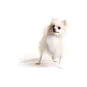 Anna Novikova's photo