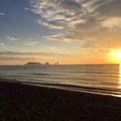 Anne Michot's photo