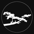 ProScapes's profile photo