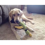 Amy Cheatle's photo
