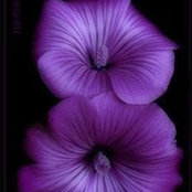 Andrew Walker's photo
