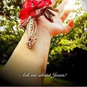 Lori Chew's photo