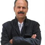 Mohammad_Ali Nasehi's photo