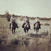 Kathy Reichenberger's photo