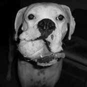 Michael Zarnofsky's photo