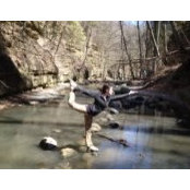Lexy Adkins's photo