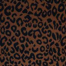 Animal Print