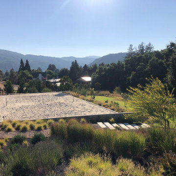 Morgan Hill