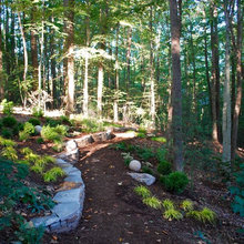 Landscape Ideas