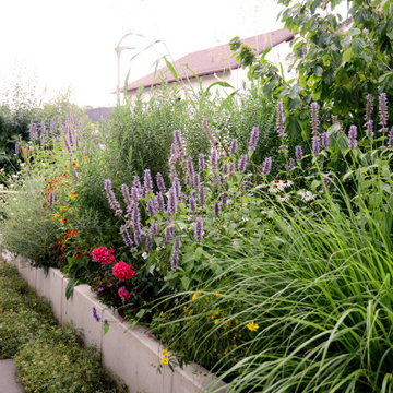 moderne Vorgartengestaltung mit insektenfreundlicher Bepflanzung