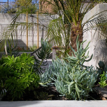 Margarido House, Platinum LEED, Oakland Hills