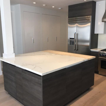 Contemporary Flat Panel Kitchen