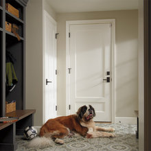 Interior Doors