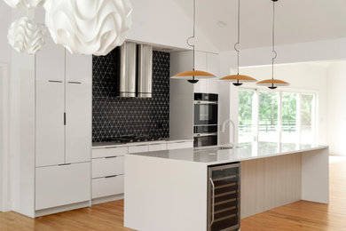 Example of a minimalist kitchen design in Philadelphia