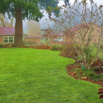 Before & After Master Gardener Makeover: Lawn Reduced for Wildflower Rain Garden