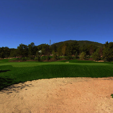 Private Synthetic Par 3 Golf Course
