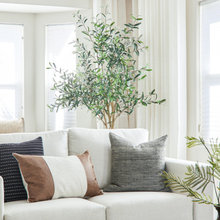 Living Room Andrew John
