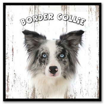 Border Collie Dog Canvas Print, 7"x7"