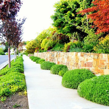 Upscale City Landscape