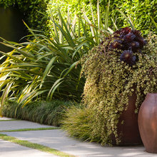 Walnut home backyard
