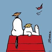 Jane Everett's photo