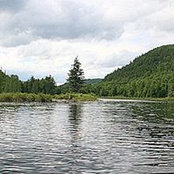 Tracy Chamberlin's photo
