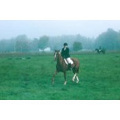 Jill Feldpausch's photo
