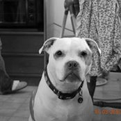Ricardo Rodriguez's photo