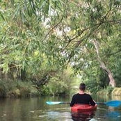 Nick Treloar's photo