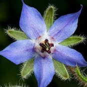 Pat Holtz's photo