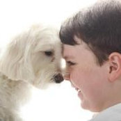 Tamara Bigler Sciullo's photo