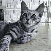 Sylviane Salamandre's photo