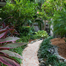 Tropical Landscape