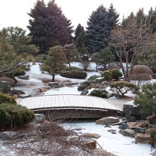 zen garden
