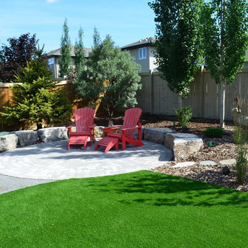 Xeriscape Low Maintenance - Large Backyard