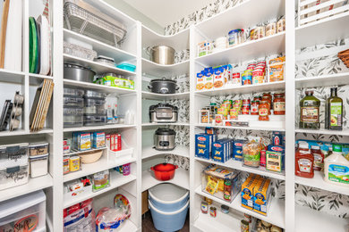 Large elegant u-shaped medium tone wood floor kitchen pantry photo in Philadelphia with open cabinets and white cabinets