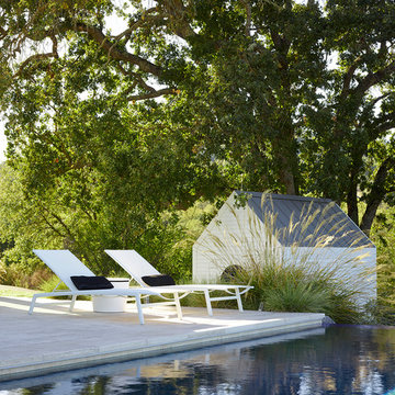 Poolside Lounging