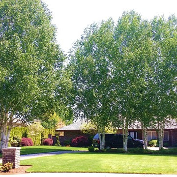 Landscape Makeovers West Coast